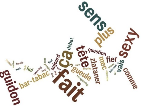 Peut-on survivre en France si on ne dit pas « ça fait sens » ? - Rue89 | Ressources FLE | Scoop.it