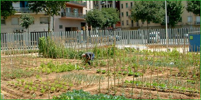 ¿Por Qué Hacer un Huerto en la Ciudad? | Educación, TIC y ecología | Scoop.it