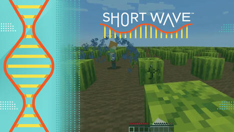 Scientists use Minecraft to study social learning | Educational Technology News | Scoop.it