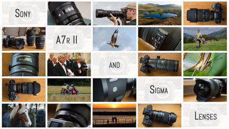 Sigma lenses on the Sony A7r II: A personal round-up | Mirrorless Cameras | Scoop.it