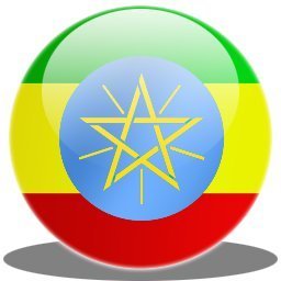 Ethiopie : Un journaliste condamné à 18 ans de prison pour terrorisme | Actualités Afrique | Scoop.it