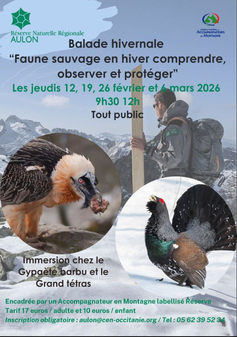 Balade hivernale en r&eacute;serve naturelle r&eacute;gionale d'Aulon le 6 mars | Vall&eacute;es d'Aure & Louron - Pyr&eacute;n&eacute;es | Scoop.it