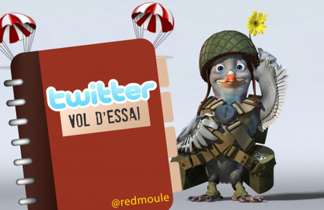 Votre premier envol direction Twitter : les bases &laquo; | Ecrire Web | Scoop.it