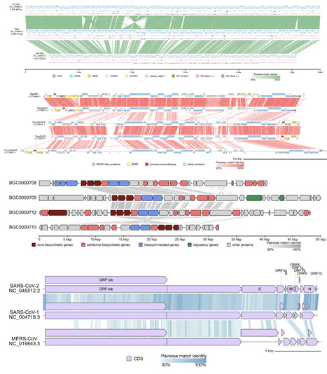 gbdraw: a genome diagram generator for microbes and organelles | brvbi | RMH | Scoop.it