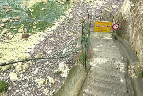 Recul du trait de côte : Saint-Martin-aux-Buneaux perd son accès à la mer | Une semaine d'actu - Newsletter de veille de l'AURH | Scoop.it