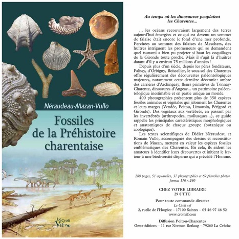 Fossiles de la Pr&eacute;histoire charentaise - extraits du livre | Vari&eacute;t&eacute;s entomologiques | Scoop.it