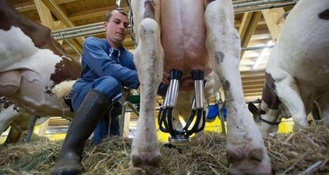 Luxembourg  : la surproduction de lait casse le marché | Lait de Normandie... et d'ailleurs | Scoop.it
