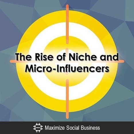 The Rise of Niche and Micro-Influencers | Public Relations & Social Marketing Insight | Scoop.it