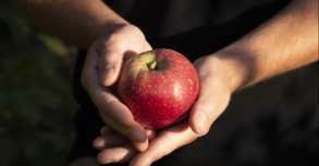 Dynamisme des achats en fruits et l&eacute;gumes frais en 2025 et soutien &agrave; la r&eacute;novation des vergers au conseil sp&eacute;cialis&eacute; &laquo; Fruits et l&eacute;gumes &raquo; | HORTICULTURE | Scoop.it