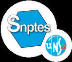 Concours et Examens professionnels ITRF .Portail SNPTES | SUIO Nantes Université - Orientation Insertion pro | Scoop.it