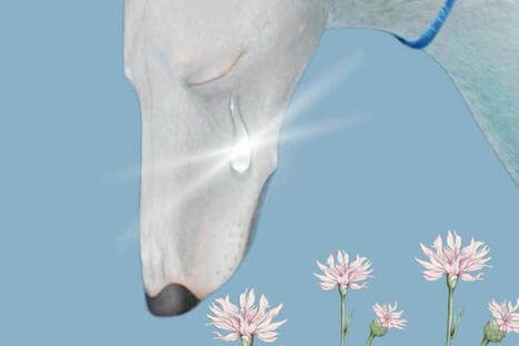 Editora volta atr&aacute;s em publicar livro por ind&iacute;cios de IA | Inova&ccedil;&atilde;o Educacional | Scoop.it