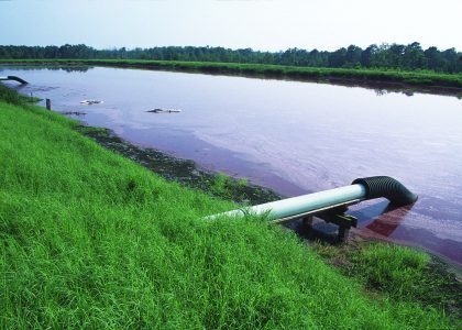 Swine lagoon sludge shows promise as phosphorus source | Industry 411 - Waste Management | Scoop.it
