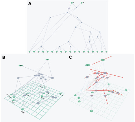 ARGscape: A modular, interactive tool for manipulation of spatiotemporal ancestral recombination graphs | bft | RMH | Scoop.it