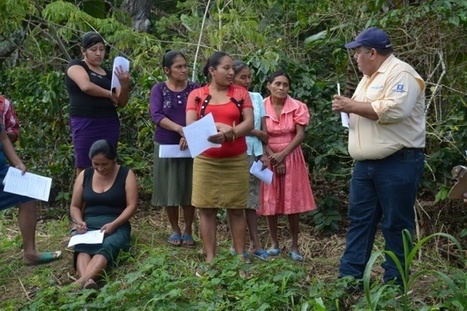 Participation: key to the creation of new farming systems | CIHEAM Press Review | Scoop.it