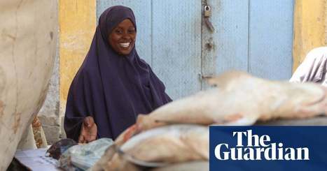 'Men don't trust we're strong enough': Somali women push into fish industry | Women's rights and gender equality | The Guardian | International Economics: IB Economics | Scoop.it