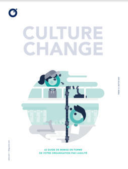 Le Comptoir x Culture Flow | OCTO Talks ! | Devops for Growth | Scoop.it