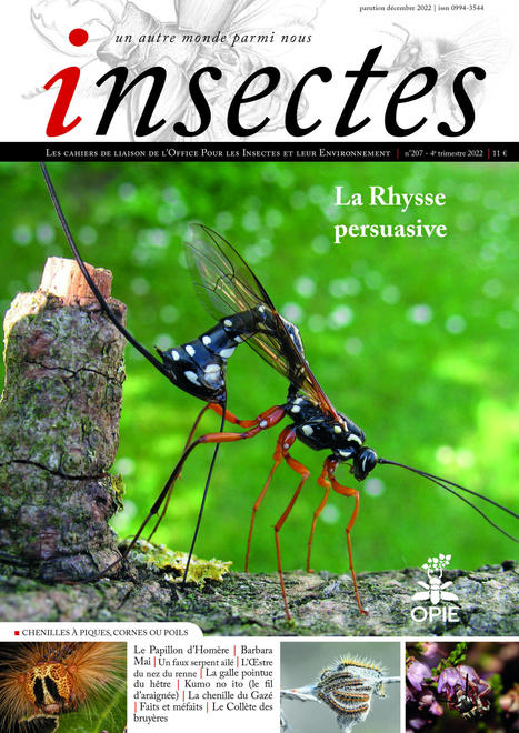 Le numéro 207 d'Insectes : le sommaire | OPIE, Office pour les insectes et leur environnement | Variétés entomologiques | Scoop.it