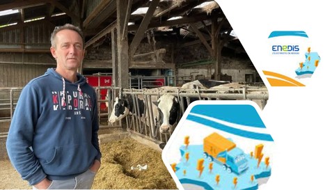Electromagnétisme : Enedis condamné à verser 140 000 euros à un producteur de lait | Lait de Normandie... et d'ailleurs | Scoop.it