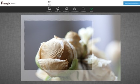 Pimagic, Free online image editor made for everyone | Image Editors | Scoop.it