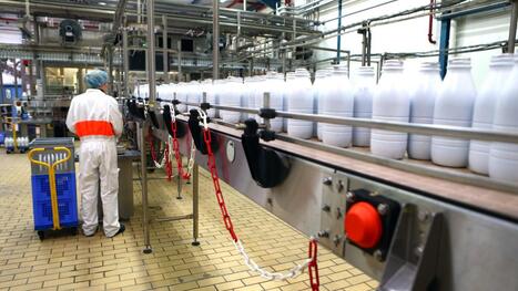 Chez Ingredia (Saint-Pol), on se lance dans le lait délactosé pour la fin de l’année | revue de presse | Scoop.it