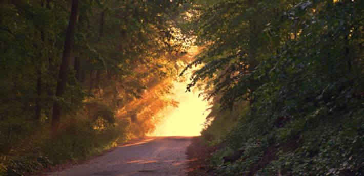 5 Steps to Declutter Your Schedule and Live Your Desired Life | Becoming Minimalist | Family Office & Billionaire Report - Empowering Family Dynasties | Scoop.it