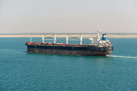 Le blocage du canal de Suez ravive le débat autour du transport maritime du bétail | Actualité Bétail | Scoop.it