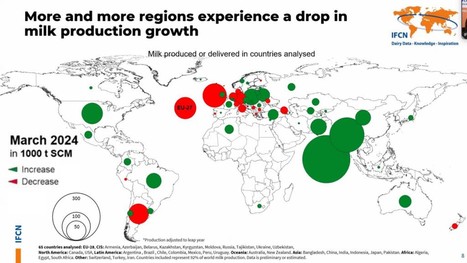 IFCN : Ralentissement de la croissance de la production laitière dans le monde | Lait de Normandie... et d'ailleurs | Scoop.it