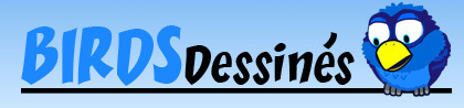 Créez vos BirdsDessinés | Primary French Immersion Education | Scoop.it
