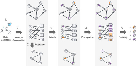 Account credibility inference based on news-sharing networks | Papers | Scoop.it