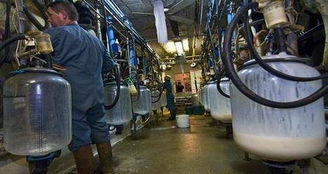 Le prix du lait en recul de 15€/1000l sur un an | Lait de Normandie... et d'ailleurs | Scoop.it