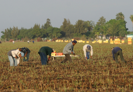 ProducePay raises $77 million in debt and equity to revolutionize farm&nbsp;financing | INNOVATIONS | Scoop.it