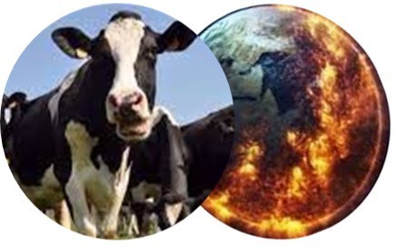 Méthane 2030 : une forte ambition collective pour réduire le méthane entérique des vaches | Lait de Normandie... et d'ailleurs | Scoop.it