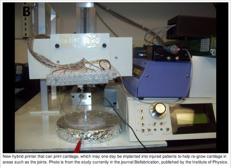 Scientists develop 3D tissue printer that prints cartilage | Amazing Science | Scoop.it