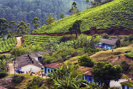 L’Inde, laboratoire du système D écologique | Economie Responsable et Consommation Collaborative | Scoop.it