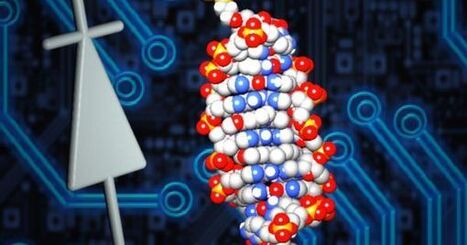 Futurism / EurekAlert : "Scientists create the world's smallest diode out of DNA | Ce monde à inventer ! | Scoop.it