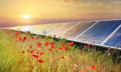 Deux parcs Disney seront bientôt alimentés par l’énergie solaire  | rev3 - la 3ème révolution industrielle en Hauts-de-France | Scoop.it