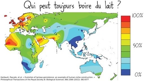 L’intolérance au lactose est-elle une maladie ? [Vidéo] | Café des Sciences | Scoop.it