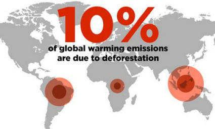 Other Deforestation Drivers | World Science Environment Nature News | Scoop.it