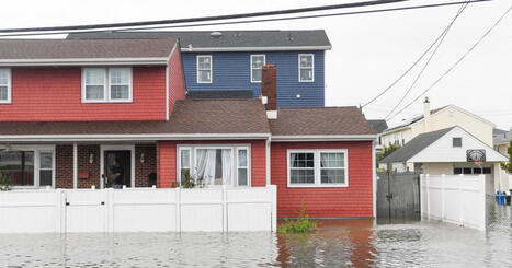 Shark 'spotted swimming' in driveways of flooded suburbs in fatal storm | News US | Metro News | Operation Deimos | Scoop.it
