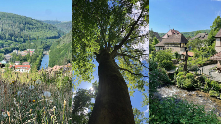 Se mettre au vert : 4 id&eacute;es d'escapades, accessibles sans voiture depuis Strasbourg | Th&eacute;matique Itin&eacute;rance douce | Scoop.it