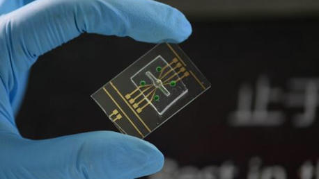 DNA computing could solve AI's single biggest systemic problem | SynBioFromLeukipposInstitute | Scoop.it