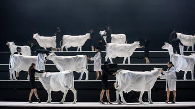 Nuoret sikailivat lehmäbaletissa – tämä on seuraus | 1Uutiset - Lukemisen tähden | Scoop.it