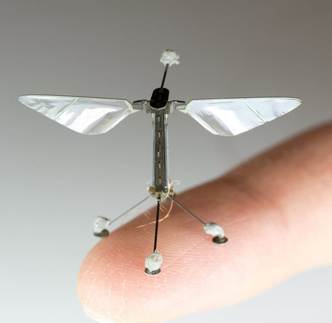 Les abeilles remplacées par des drones ? Harvard y travaille | EntomoNews | Scoop.it