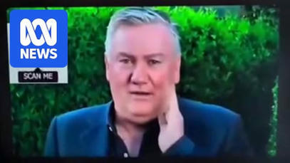 Football and media personality Eddie McGuire used in deepfake financial scam video. | Avoid Internet Scams and ripoffs | Scoop.it