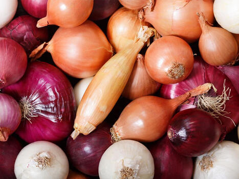 Olika l&ouml;ksorter: Stor l&ouml;kguide &ndash; allt du beh&ouml;ver veta om l&ouml;k | 1Uutiset - Lukemisen t&auml;hden | Scoop.it