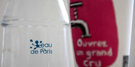 Paris va subventionner les agriculteurs pour améliorer la qualité de l’eau du robinet | Biodiversité | Scoop.it