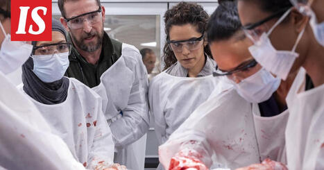 The Pitt on t&auml;m&auml;n hetken paras tv-sarja | 1Uutiset - Lukemisen t&auml;hden | Scoop.it