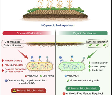 Nutrient balance regulates soil microbial health under long-term fertilization | crep | RMH | Scoop.it