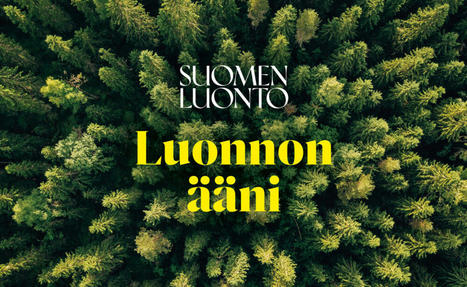 Luonnon ääni -podcast jakso 16: Villit vihanneksemme – Asiantuntijan vinkit villivihannesten käyttöön! | 1Uutiset - Lukemisen tähden | Scoop.it