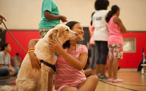 Dogs Teach Empathy, Prevent Bullying to At-Risk Youth in NYC Schools | Empathy and Animals | Scoop.it